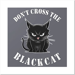 Black Cat Posters and Art